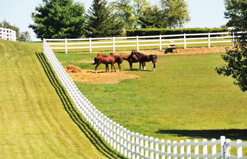 Equine Fence Installation in South Houston, TX