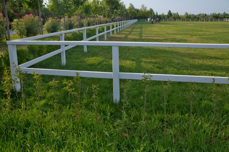 Equine Fence Installation in South Houston, TX