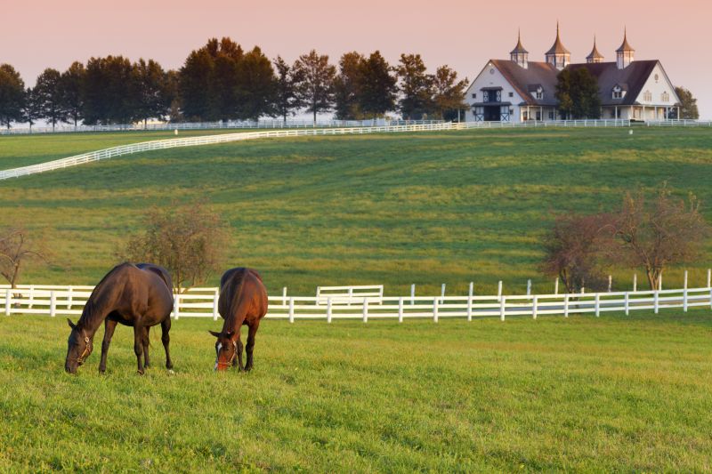 Horse Paddock Installation in Sacramento, CA