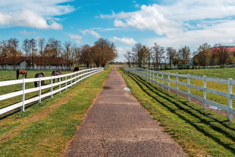 Horse Paddock Installation in Pearland, TX
