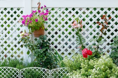 Pvc Lattice Fence Installation in Alpharetta, GA