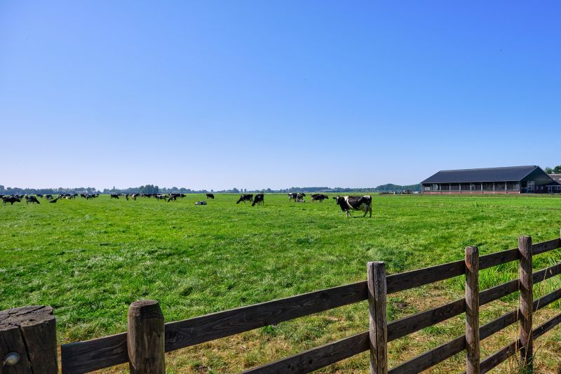 Ranch Fence Construction in Sacramento, CA