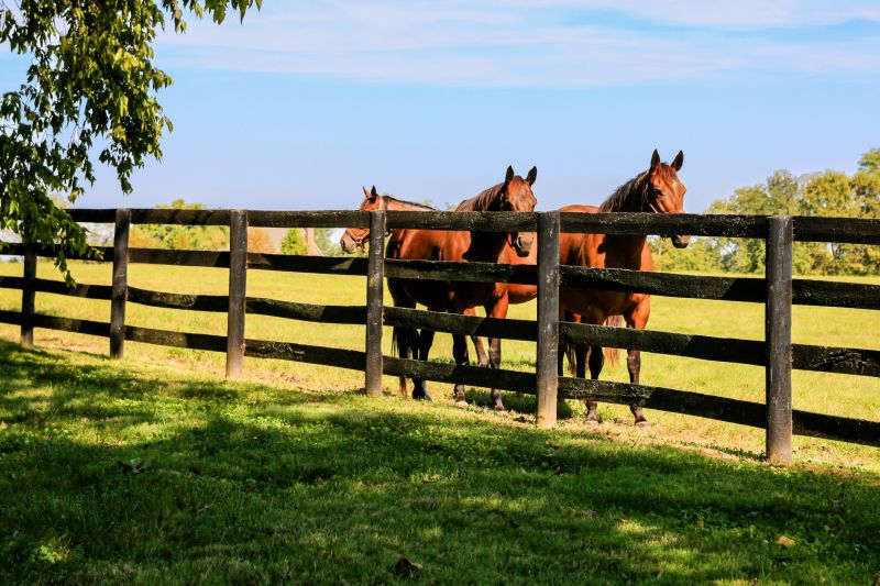 Ranch Fence Construction in Pearland, TX