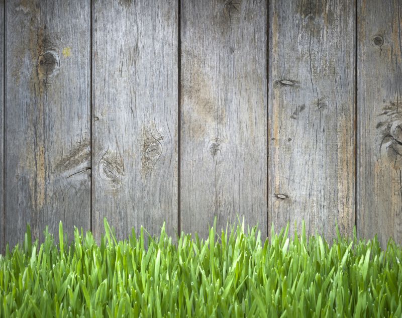 Scalloped Fence Installation in Roseville, CA