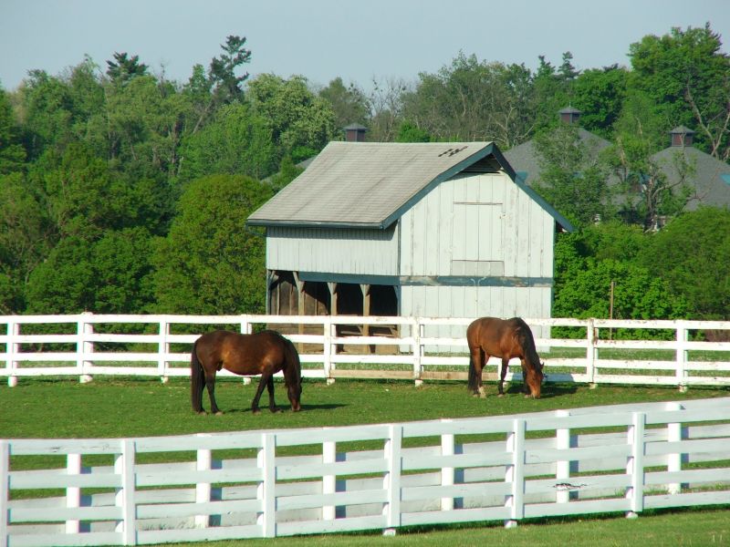 Stable Fencing Installation in Roseville, CA