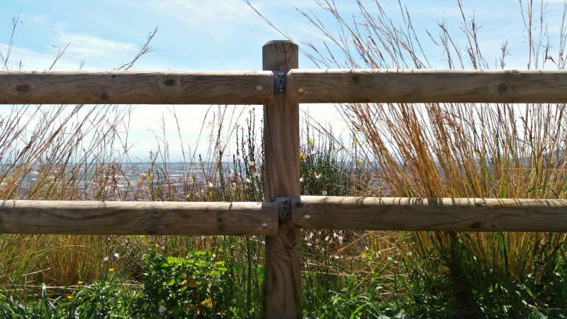 Wooden Dog Fence Installation in Roseville, CA