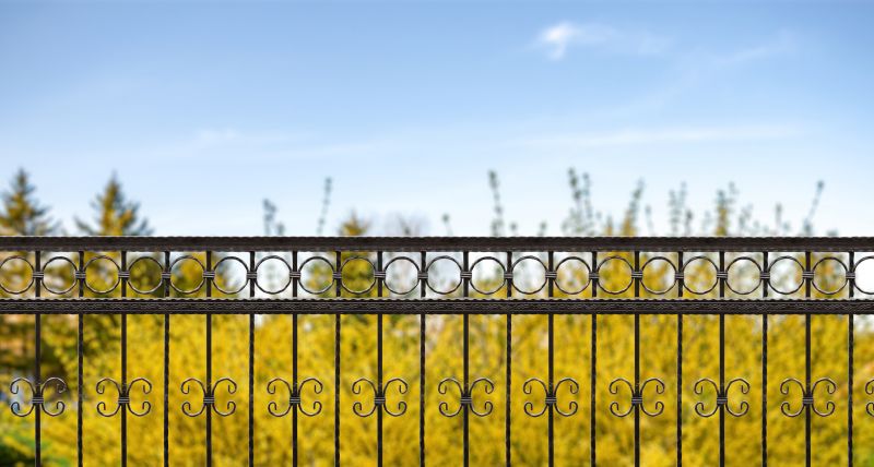 Wrought Iron Fence Installation in Alpharetta, GA